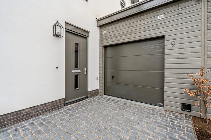 Foto 71 van Allium 9