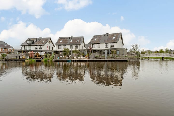 Foto 73 van Allium 9