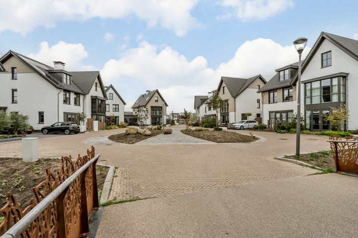 Foto 76 van Allium 9