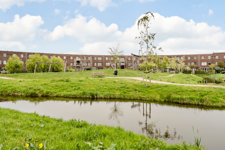 Foto 77 van Allium 9