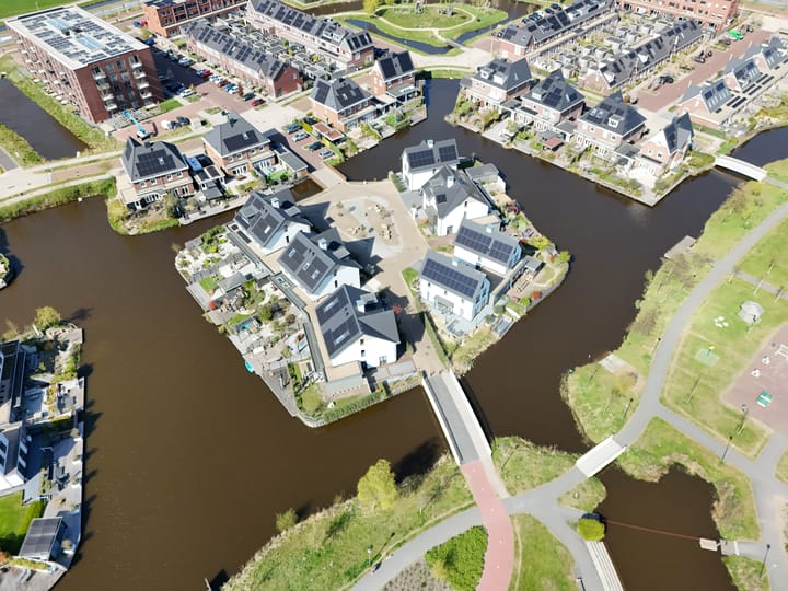 Foto 78 van Allium 9