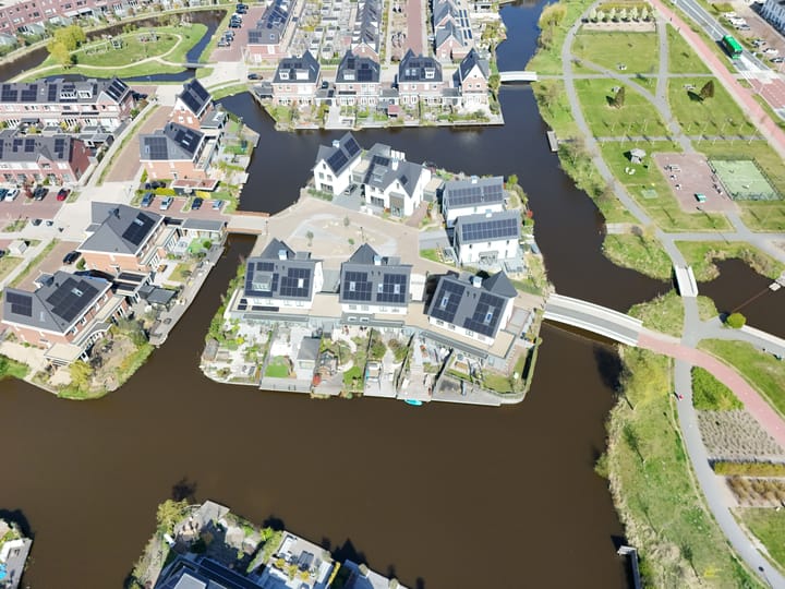 Foto 79 van Allium 9