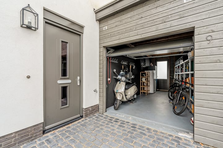 Foto 72 van Allium 9