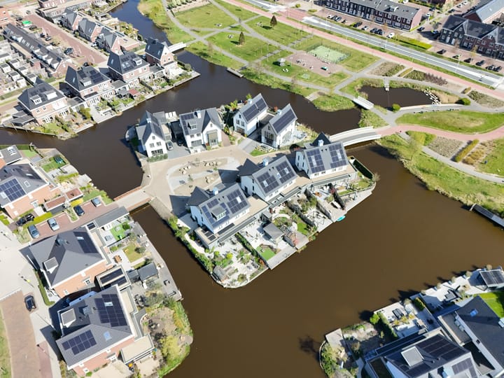 Foto 81 van Allium 9