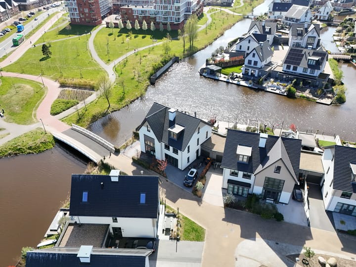 Foto 80 van Allium 9