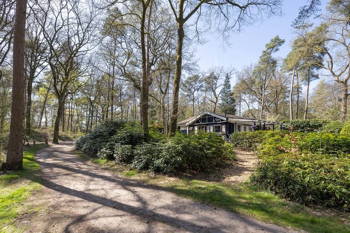 Photo 2 of Lutterzandweg 12-E