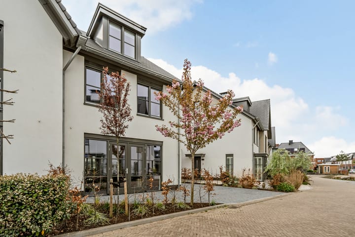 Foto 67 van Allium 9