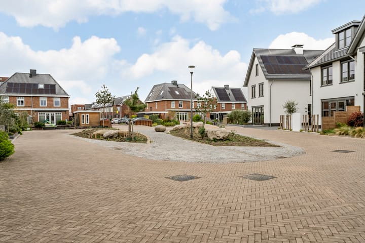 Foto 74 van Allium 9