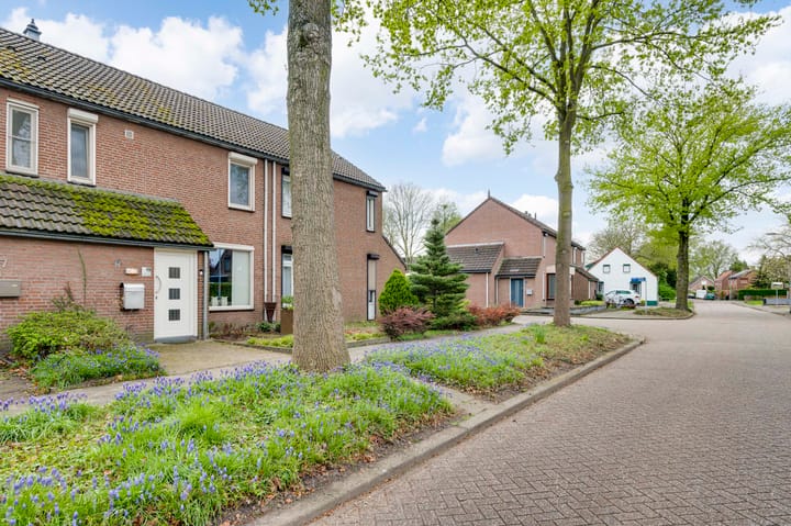 Foto 27 van Tobbersdijk 19