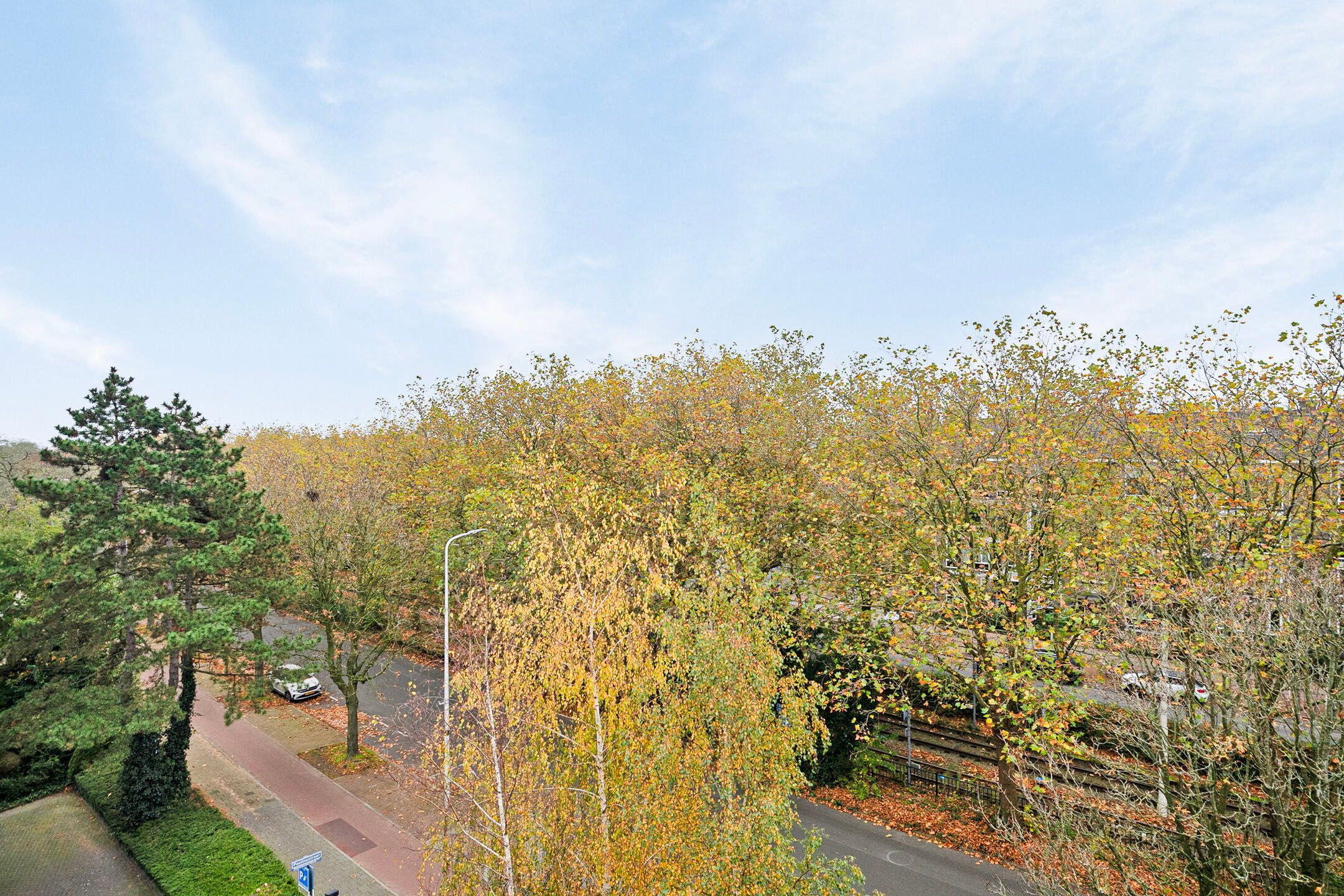 Foto 12 van Paulinastraat 101