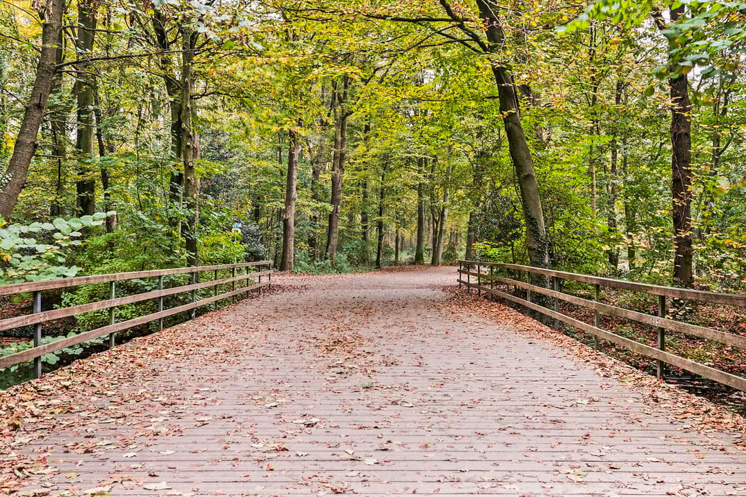 Foto 26 van Paulinastraat 101