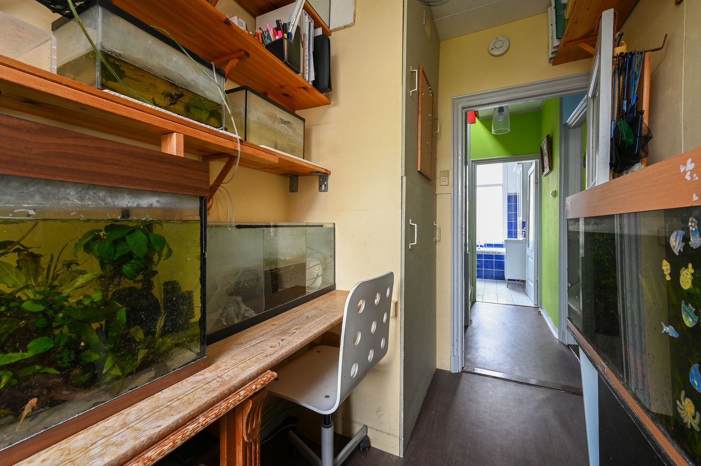 Foto 29 van Willemstraat 12