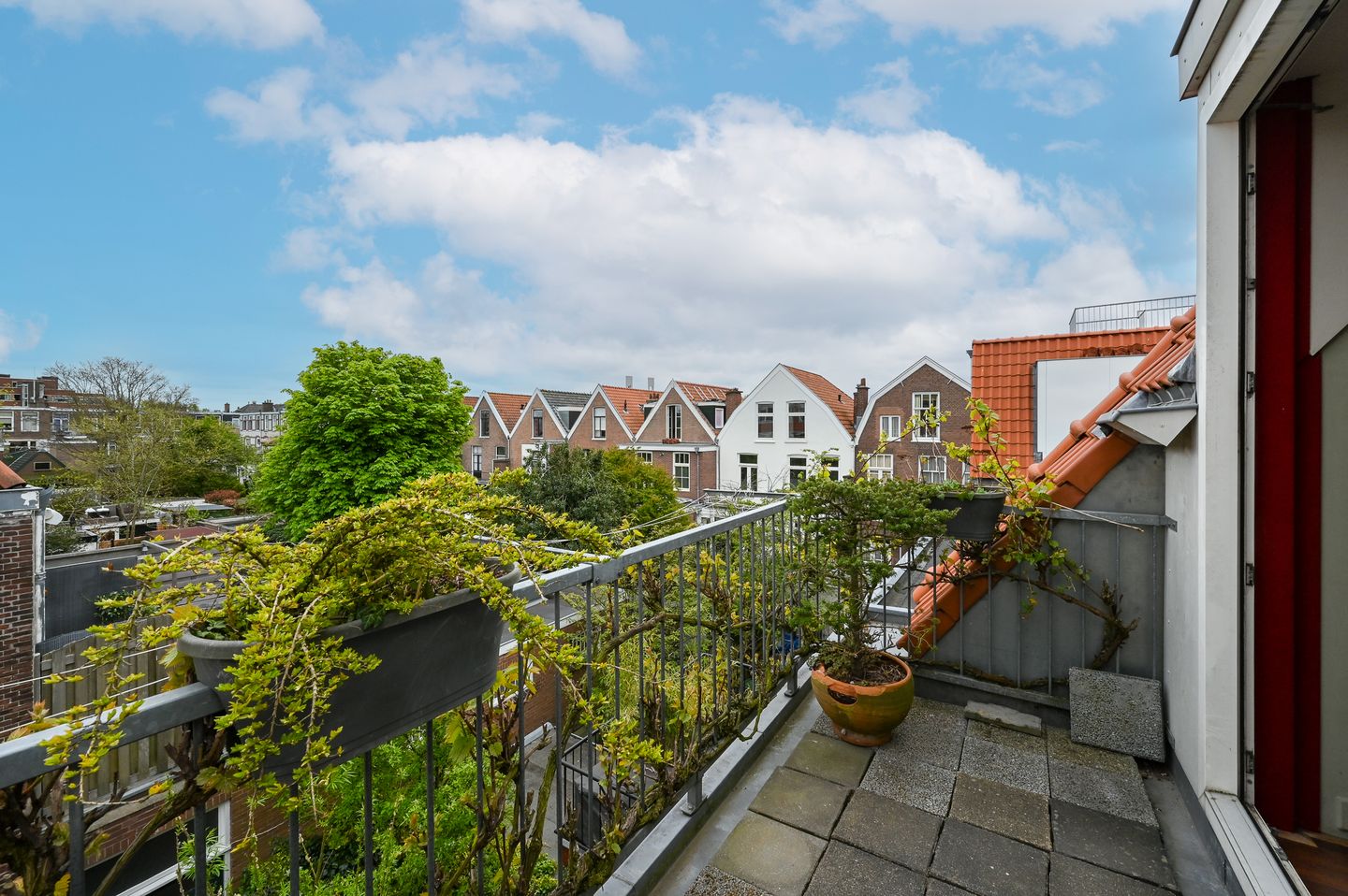 Foto 49 van Willemstraat 12