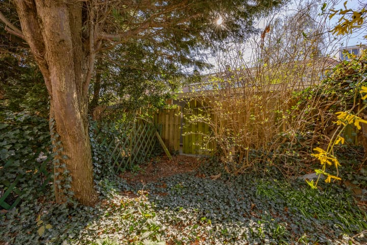 Foto 10 van Rembrandtkade 152