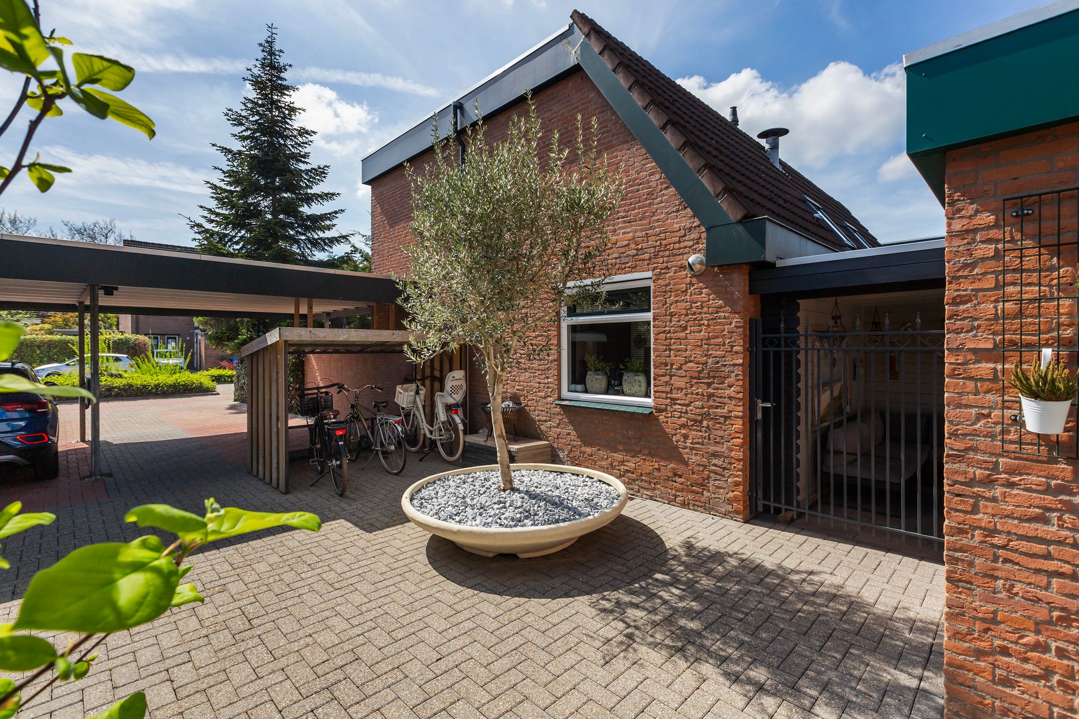 Foto 12 van Zwaluw 36