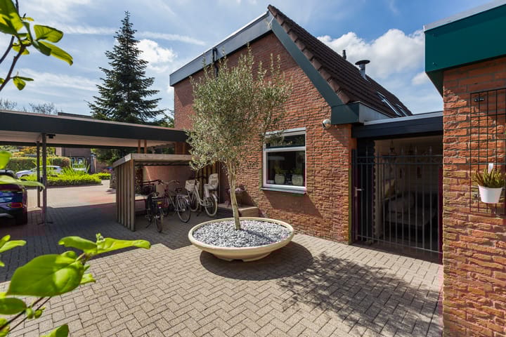 Foto 12 van Zwaluw 36