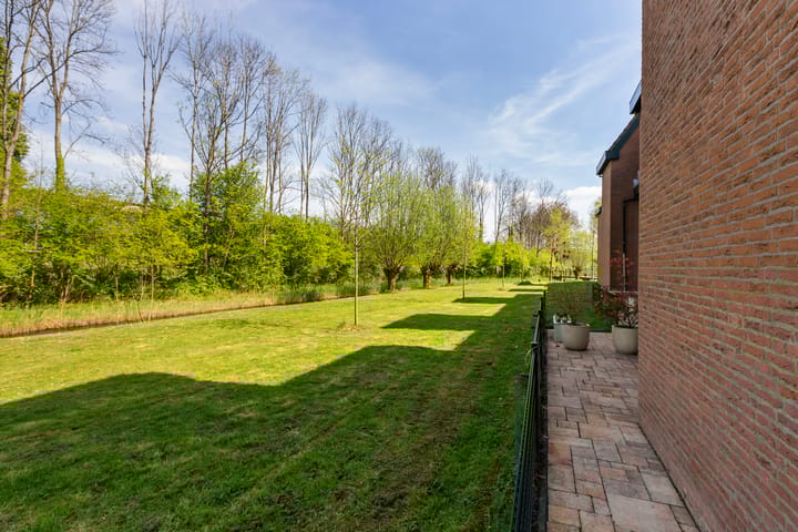 Foto 32 van Zwaluw 36