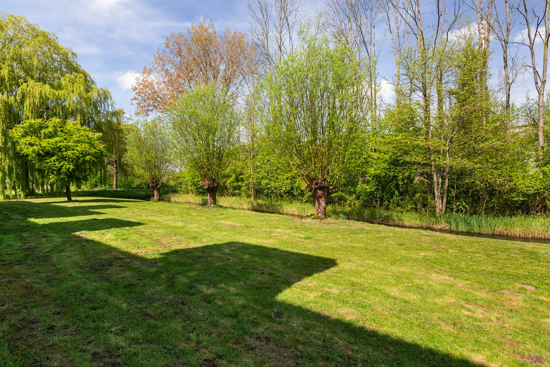 Foto 33 van Zwaluw 36