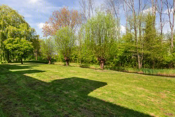 Foto 33 van Zwaluw 36