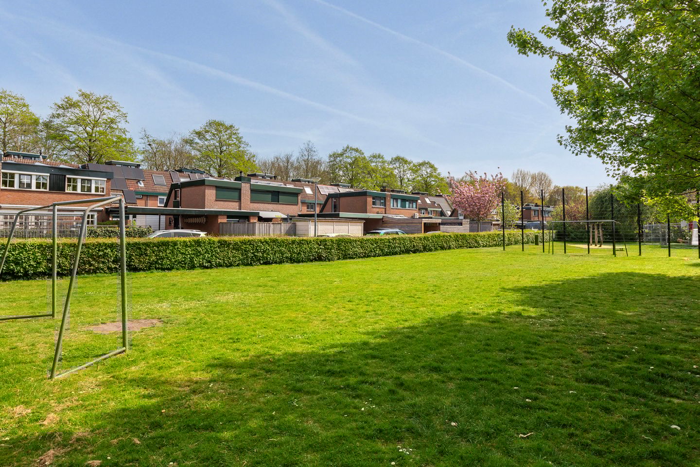 Foto 55 van Zwaluw 36