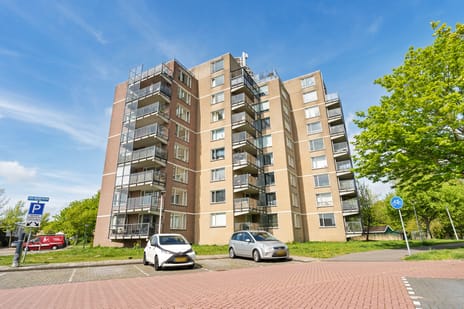 De vink - Zuster Meiboomstraat main image