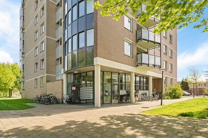 Foto 2 van Zuster Meijboomstraat 127