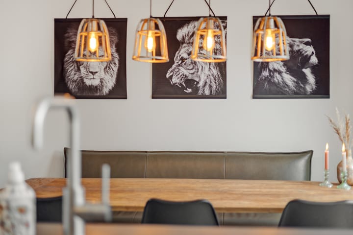 Foto 15 van De Demkes 3