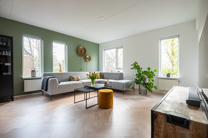 Foto 1 van Paddemoes 29