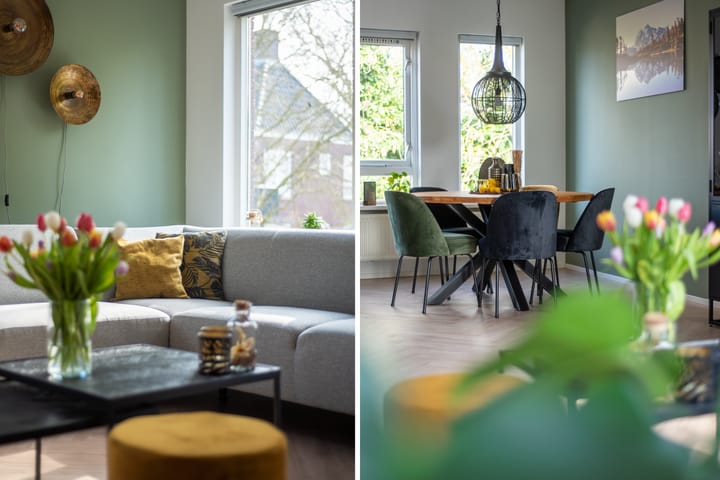 Foto 2 van Paddemoes 29