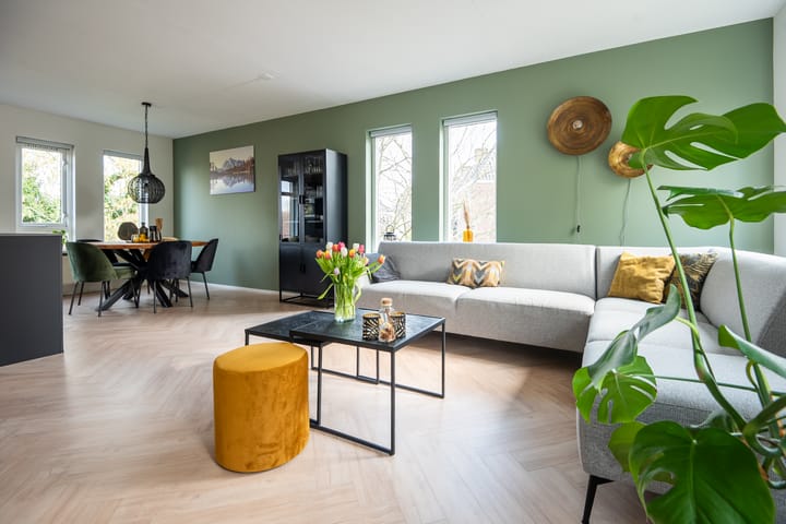 Foto 5 van Paddemoes 29