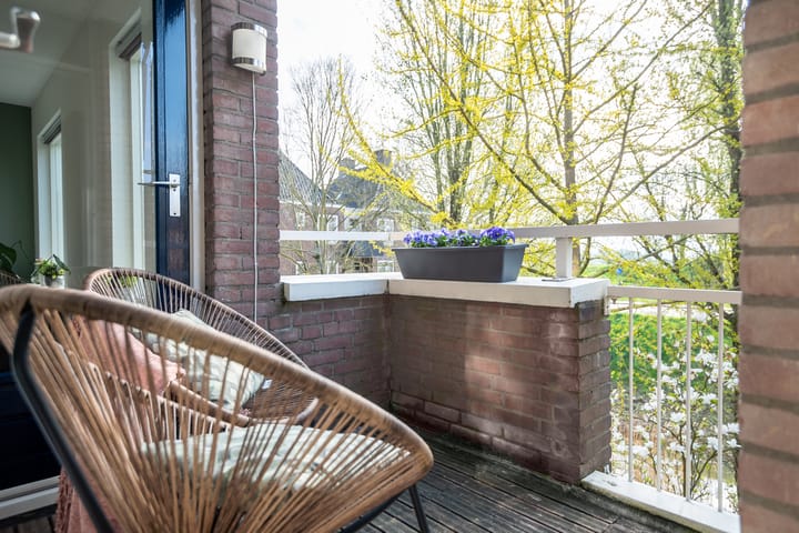 Foto 11 van Paddemoes 29