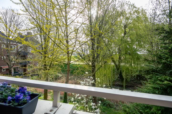 Foto 12 van Paddemoes 29