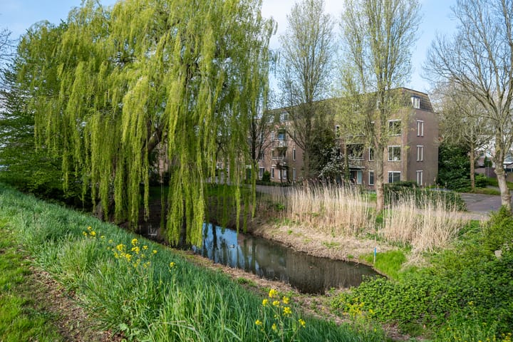 Foto 16 van Paddemoes 29