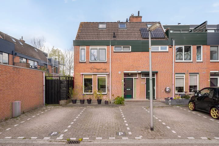 Foto 5 van Muurvaren 69