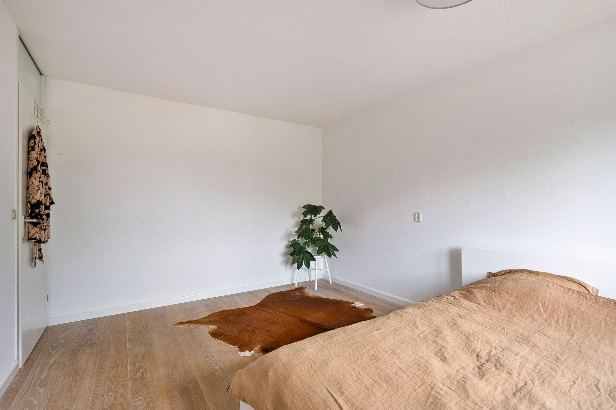 Foto 18 van Muurvaren 69