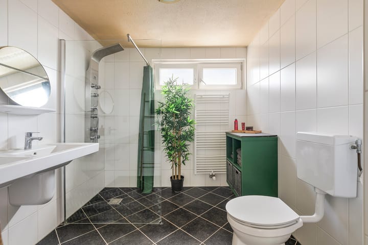 Foto 19 van Muurvaren 69