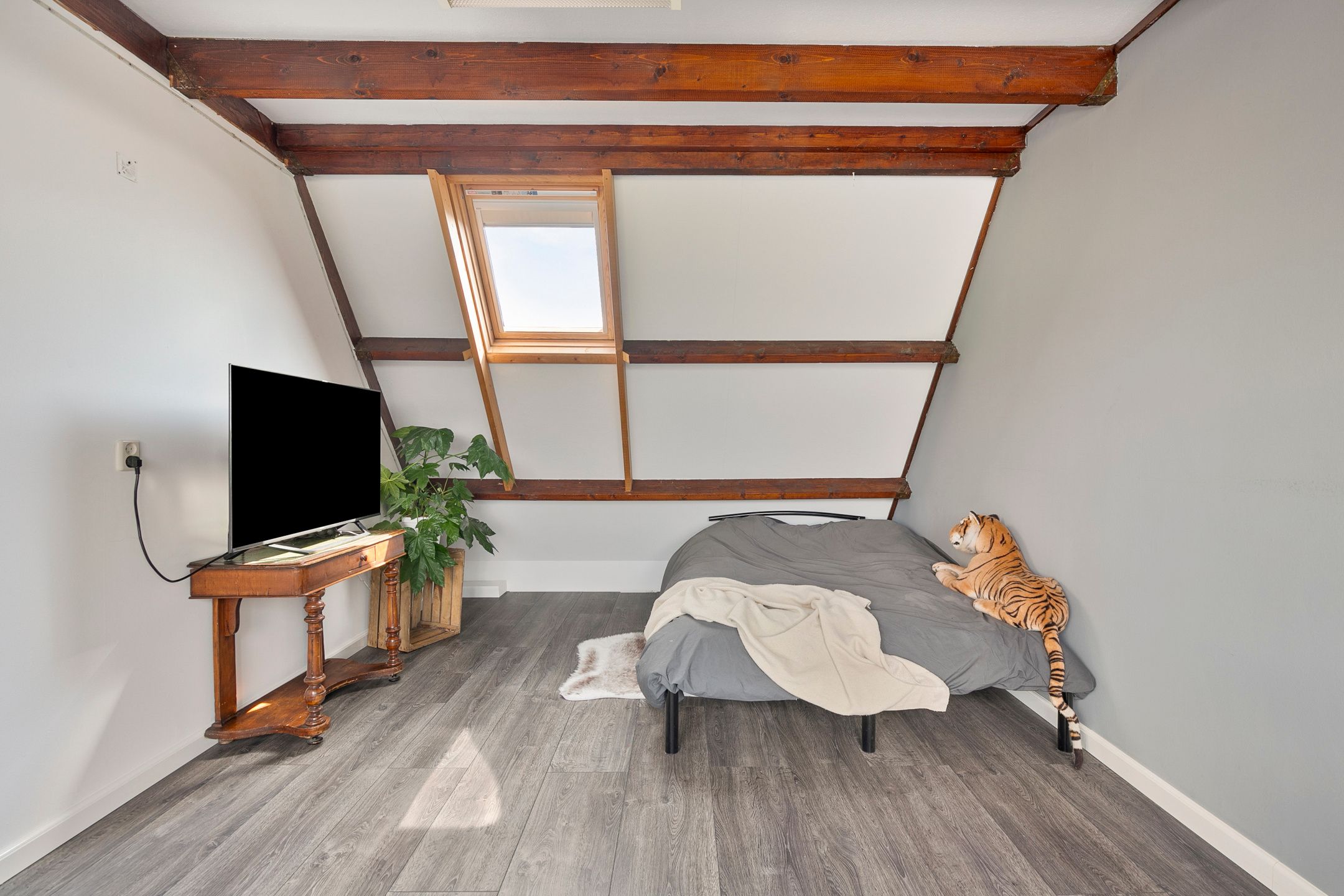 Foto 27 van Muurvaren 69