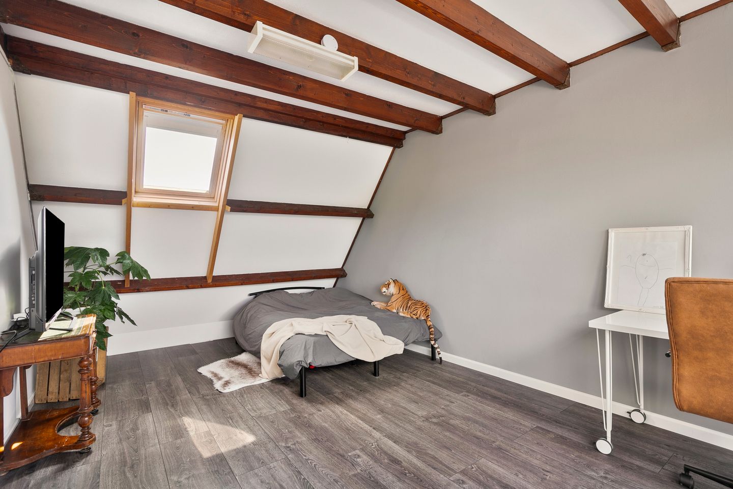 Foto 29 van Muurvaren 69