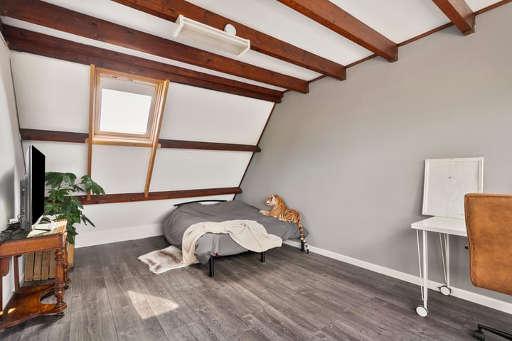 Foto 29 van Muurvaren 69