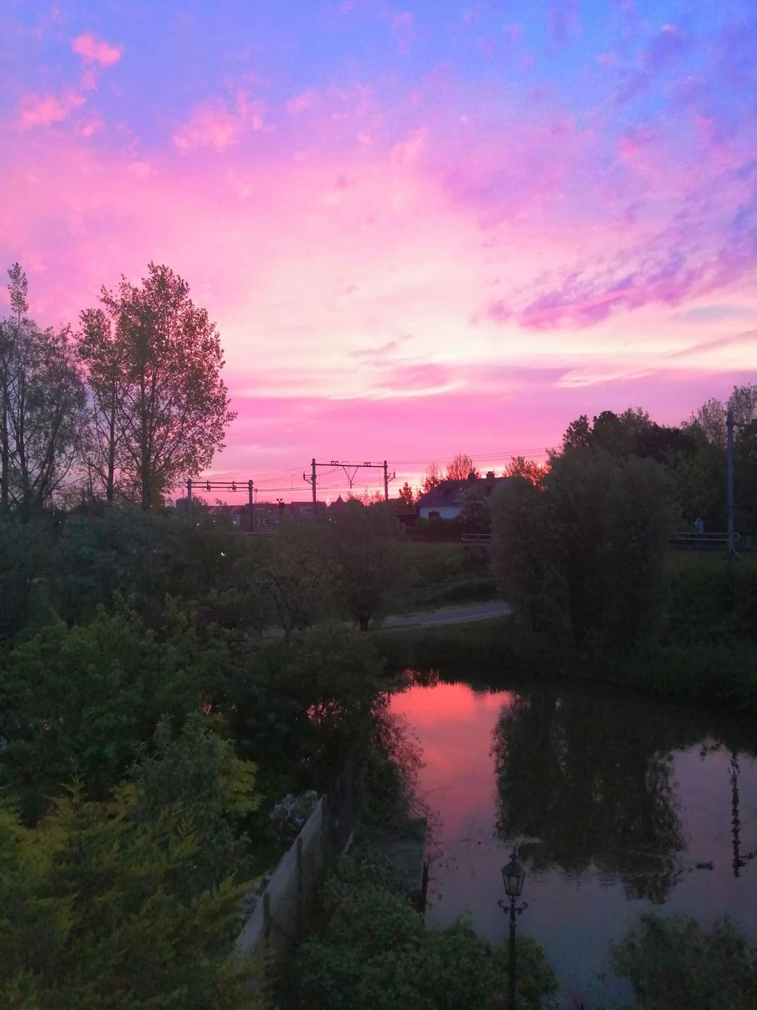 Foto 46 van Muurvaren 69