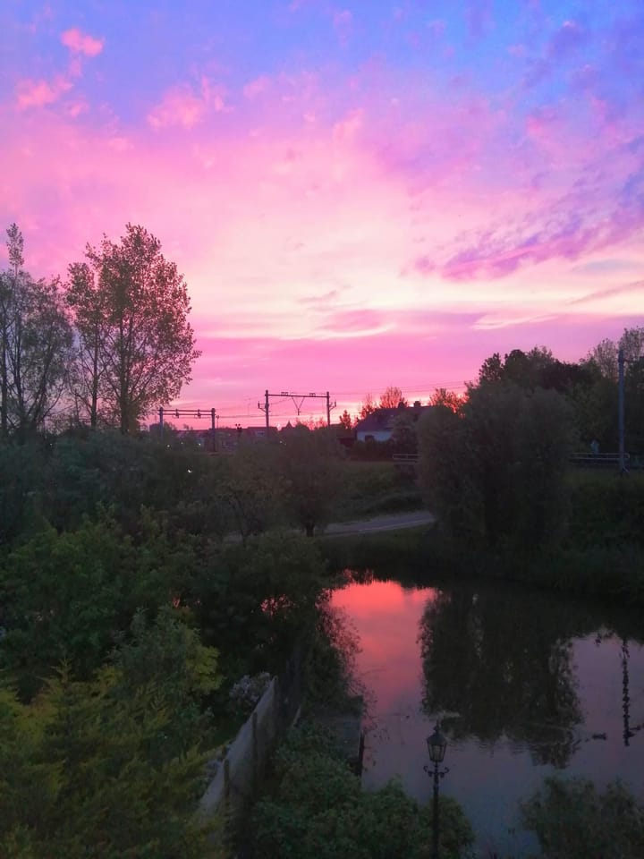 Foto 46 van Muurvaren 69