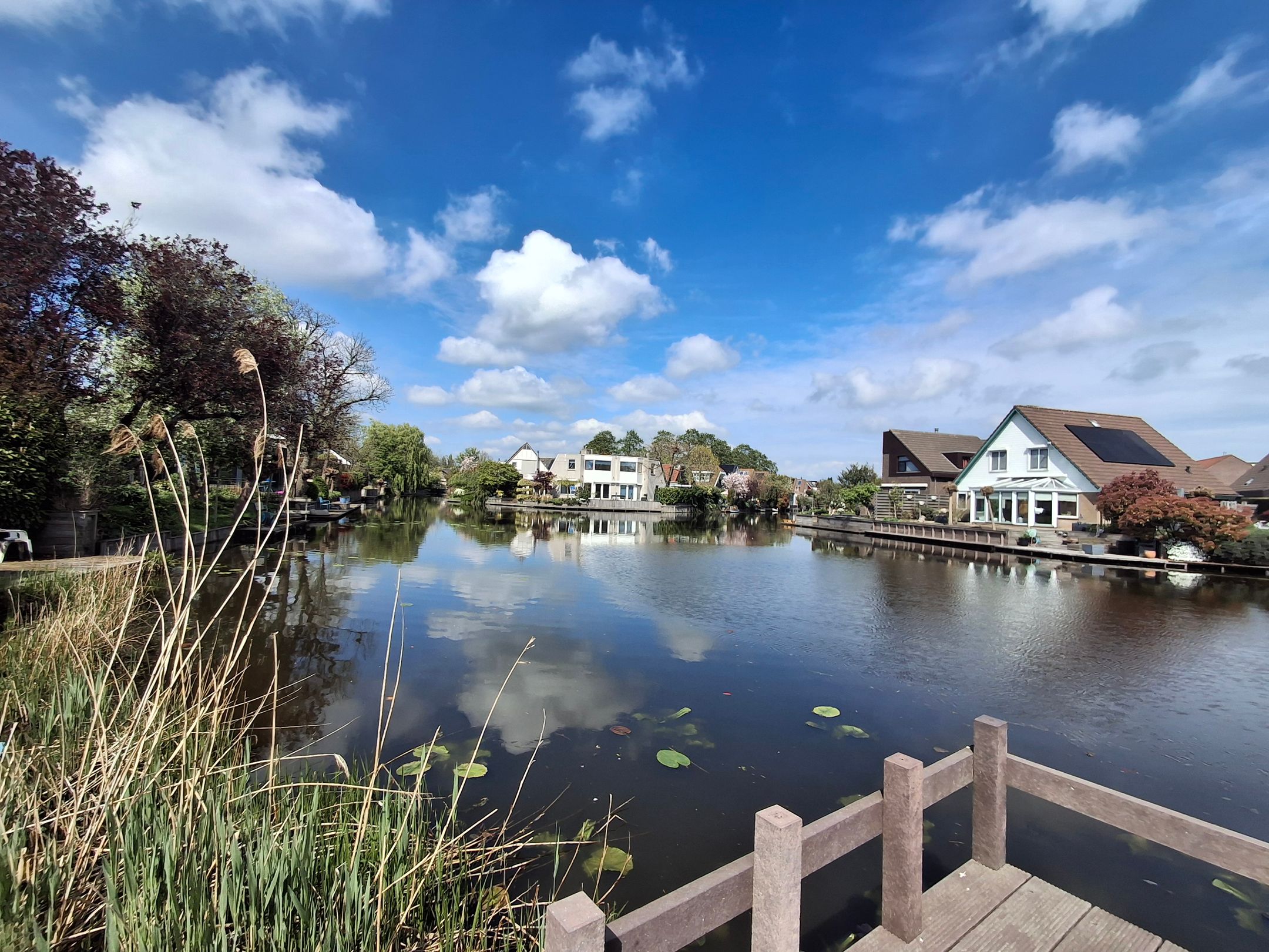 Foto 45 van Muurvaren 69