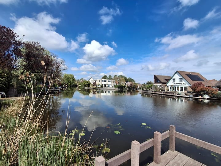 Foto 45 van Muurvaren 69