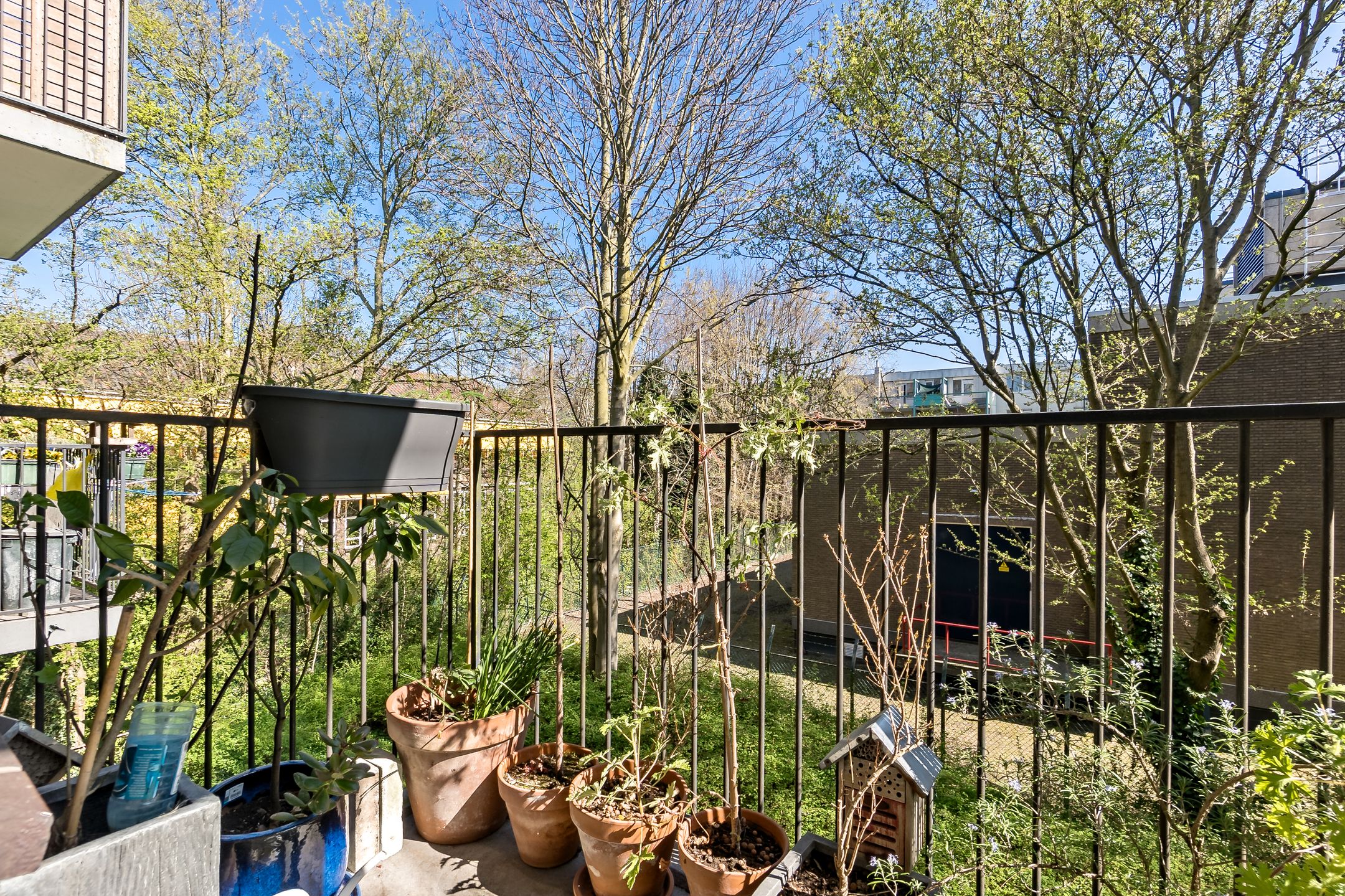 Foto 33 van Obrechtstraat 16