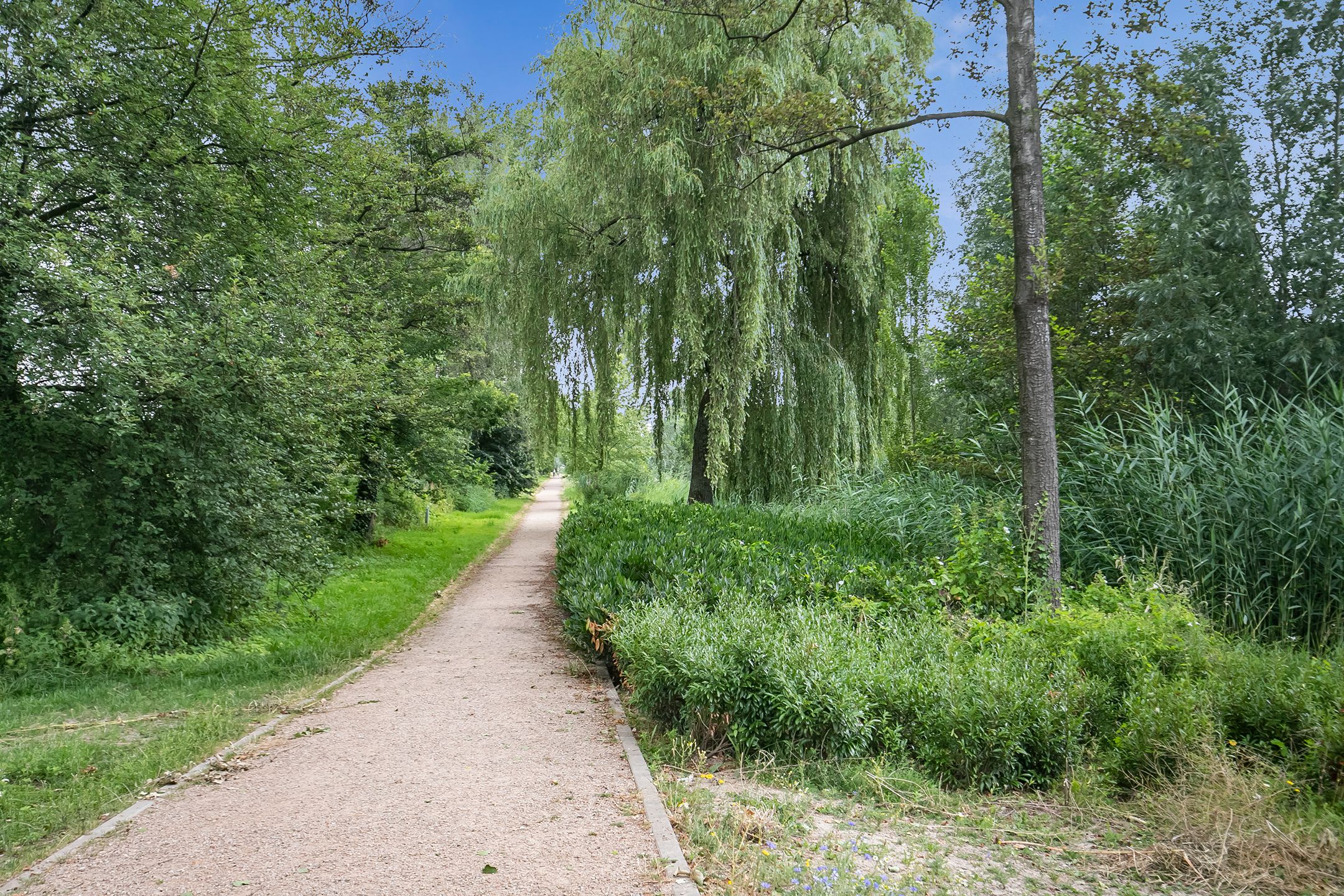 Foto 48 van Kerkakkerstraat 20