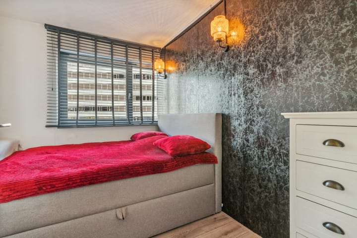 Foto 30 van Gedempte Zalmhaven 783