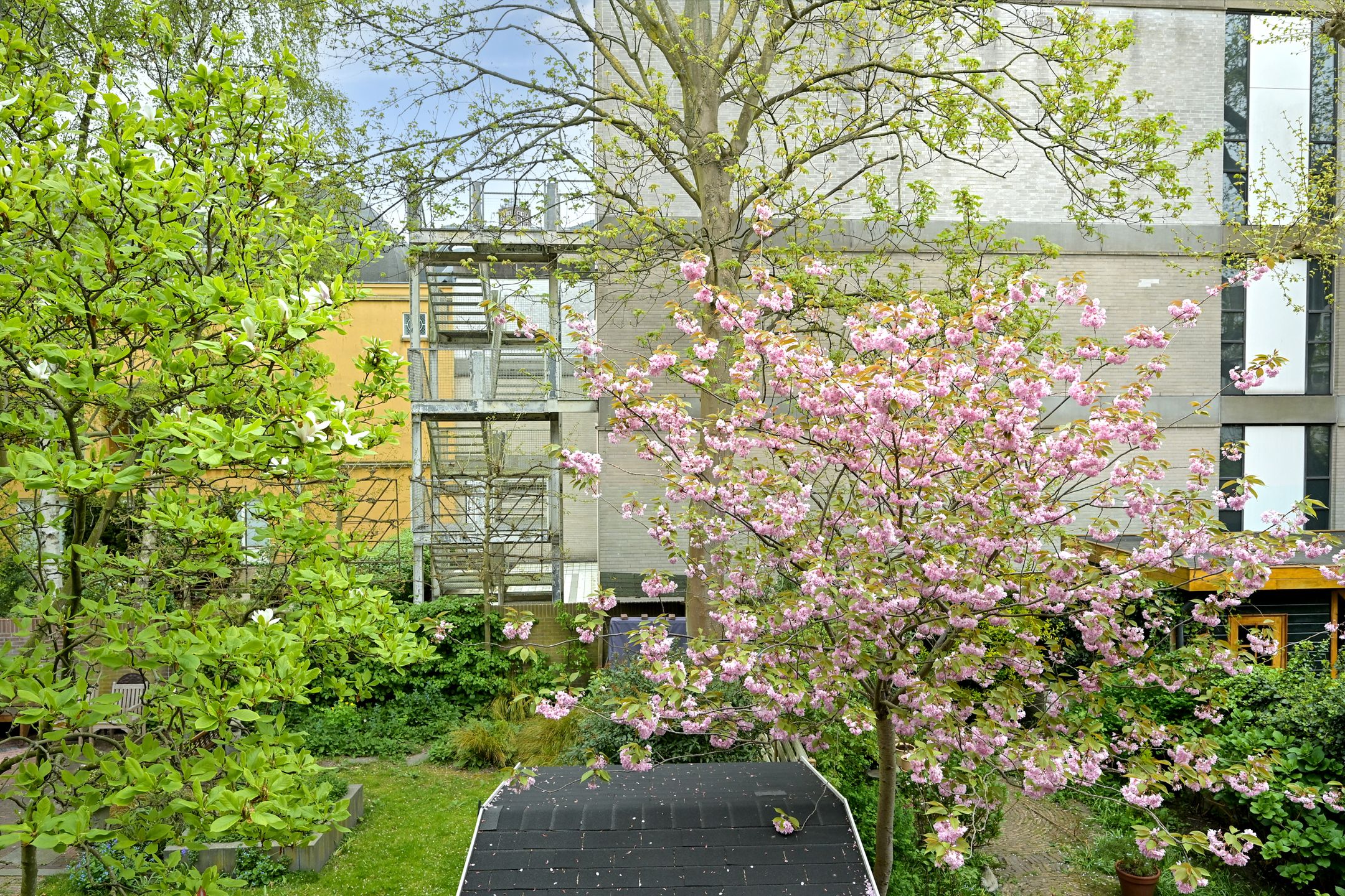 Foto 15 van De Ruijterstraat 59-A