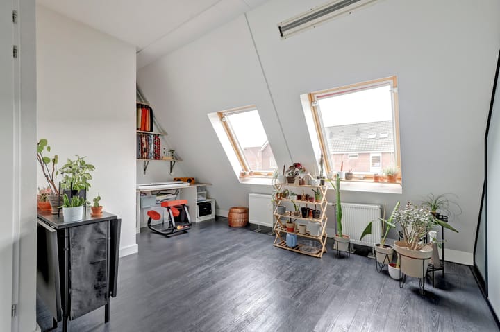 Foto 16 van Steur 17