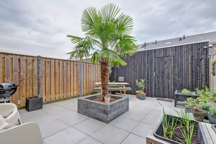 Foto 32 van Steur 17