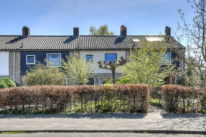 Foto 3 van Groene Woud 98